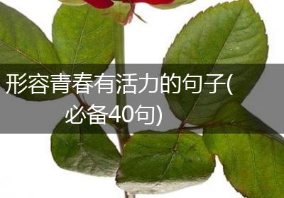 形容青春有活力的句子(必备40句)