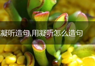 凝听造句,用凝听怎么造句