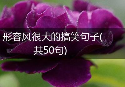 形容风很大的搞笑句子(共50句)
