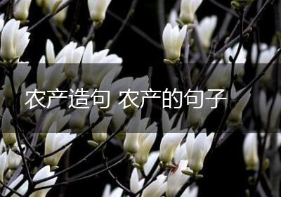农产造句 农产的句子