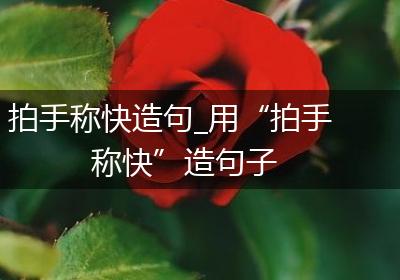 拍手称快造句_用“拍手称快”造句子
