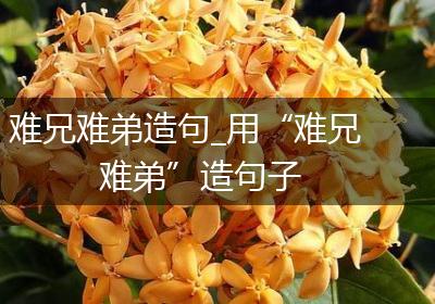 难兄难弟造句_用“难兄难弟”造句子