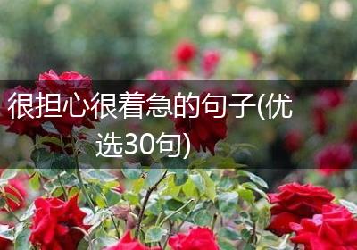 很担心很着急的句子(优选30句)