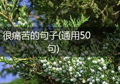 很痛苦的句子(通用50句)