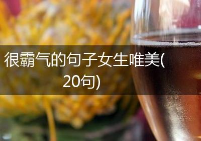 很霸气的句子女生唯美(20句)
