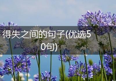 得失之间的句子(优选50句)