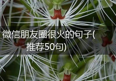 微信朋友圈很火的句子(推荐50句)