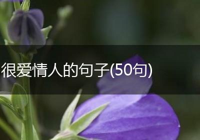 很爱情人的句子(50句)