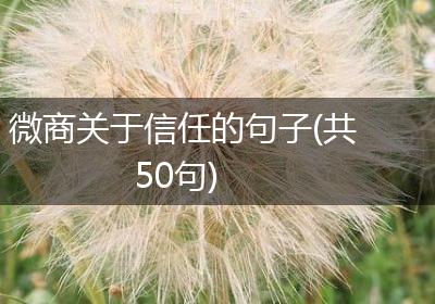微商关于信任的句子(共50句)