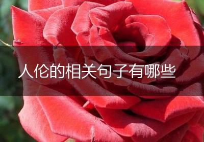 人伦的相关句子有哪些