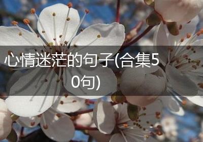 心情迷茫的句子(合集50句)