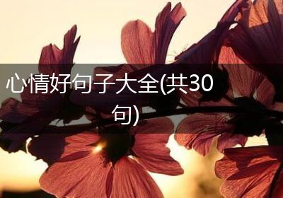 心情好句子大全(共30句)