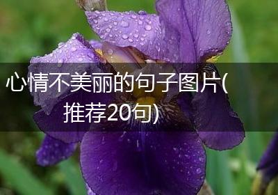 心情不美丽的句子图片(推荐20句)