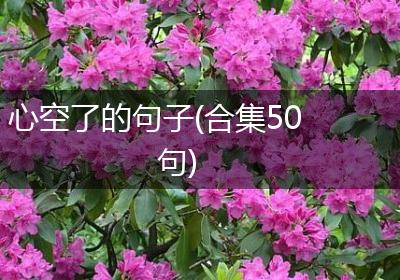 心空了的句子(合集50句)
