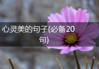 心灵美的句子(必备20句)