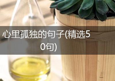 心里孤独的句子(精选50句)