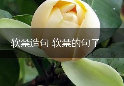 软禁造句 软禁的句子