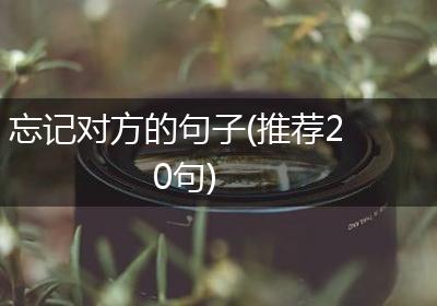 忘记对方的句子(推荐20句)