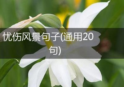 忧伤风景句子(通用20句)