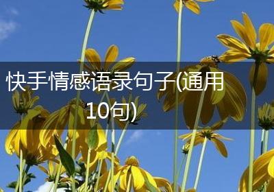快手情感语录句子(通用10句)