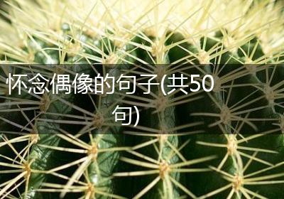 怀念偶像的句子(共50句)