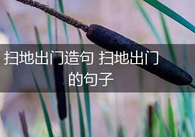 扫地出门造句 扫地出门的句子