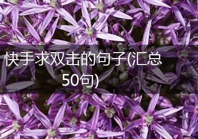 快手求双击的句子(汇总50句)