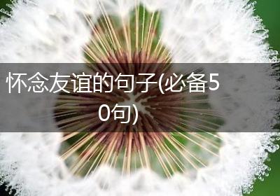 怀念友谊的句子(必备50句)