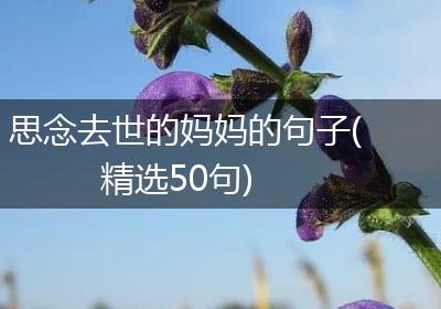 思念去世的妈妈的句子(精选50句)