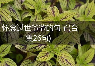 怀念过世爷爷的句子(合集26句)