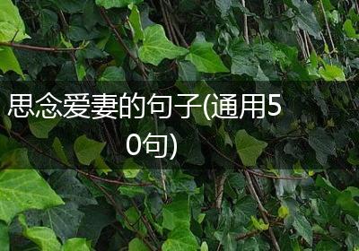 思念爱妻的句子(通用50句)