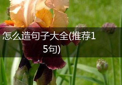 怎么造句子大全(推荐15句)