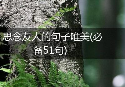 思念友人的句子唯美(必备51句)