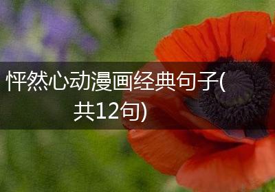 怦然心动漫画经典句子(共12句)