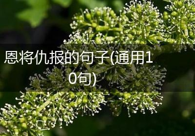 恩将仇报的句子(通用10句)