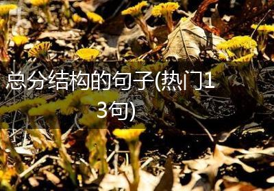 总分结构的句子(热门13句)