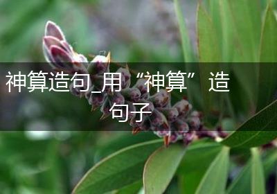 神算造句_用“神算”造句子
