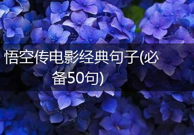 悟空传电影经典句子(必备50句)