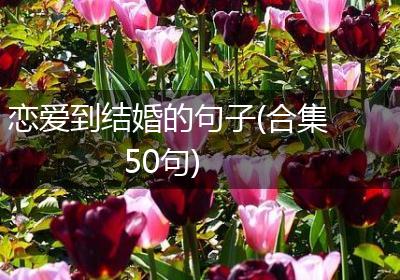 恋爱到结婚的句子(合集50句)