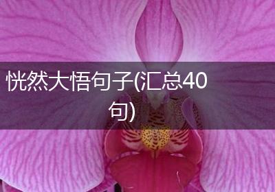 恍然大悟句子(汇总40句)
