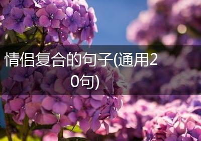情侣复合的句子(通用20句)