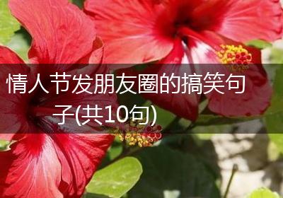 情人节发朋友圈的搞笑句子(共10句)