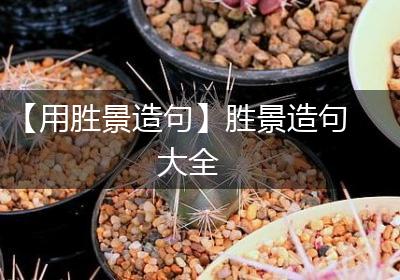 【用胜景造句】胜景造句大全