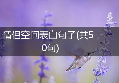 情侣空间表白句子(共50句)