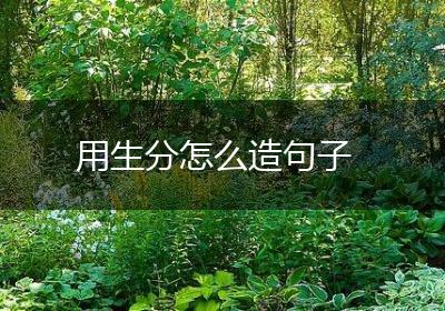 用生分怎么造句子