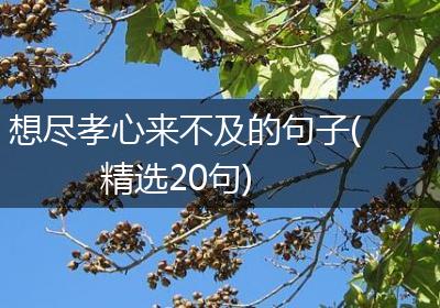 想尽孝心来不及的句子(精选20句)