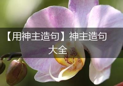 【用神主造句】神主造句大全