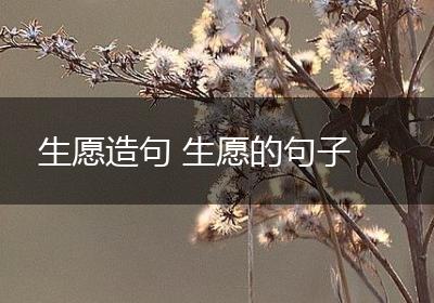 生愿造句 生愿的句子