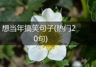 想当年搞笑句子(热门20句)
