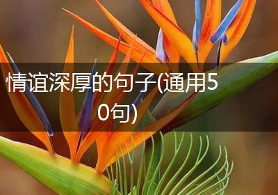 情谊深厚的句子(通用50句)